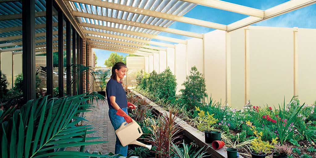 Plants thrive under our pergola!